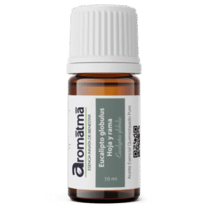 Eucalipto Globulos Aceite esencial AROMATMA