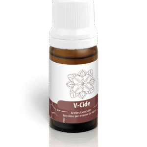 V- CIDE